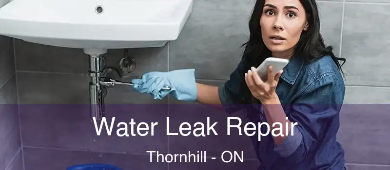  Water Leak Repair Thornhill - ON